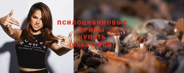 гашик Коряжма