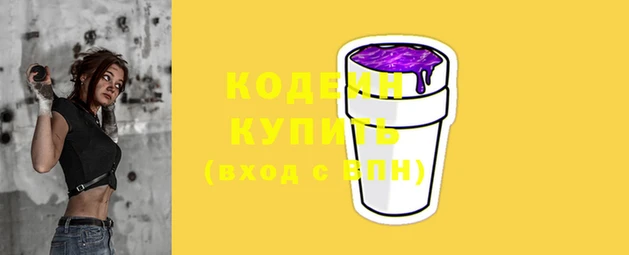 гашик Коряжма