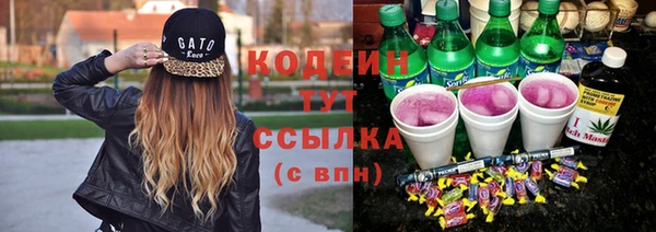 круглые Корсаков