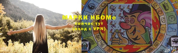 гашик Коряжма