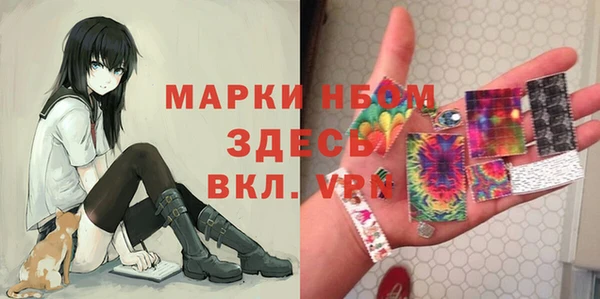 гашик Коряжма