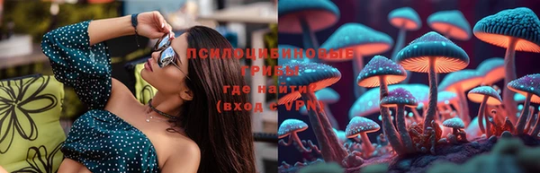 гашик Коряжма