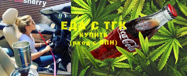 гашик Коряжма