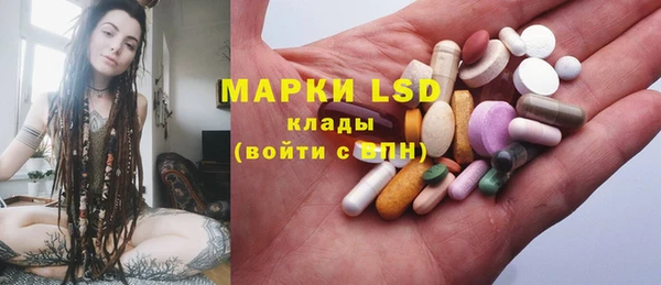 гашик Коряжма