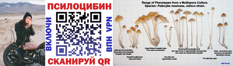 где можно купить наркотик  Ачинск  Псилоцибиновые грибы ЛСД 
